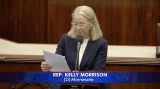 Rep. Morrison reads MN state Republicans' letter on House floor